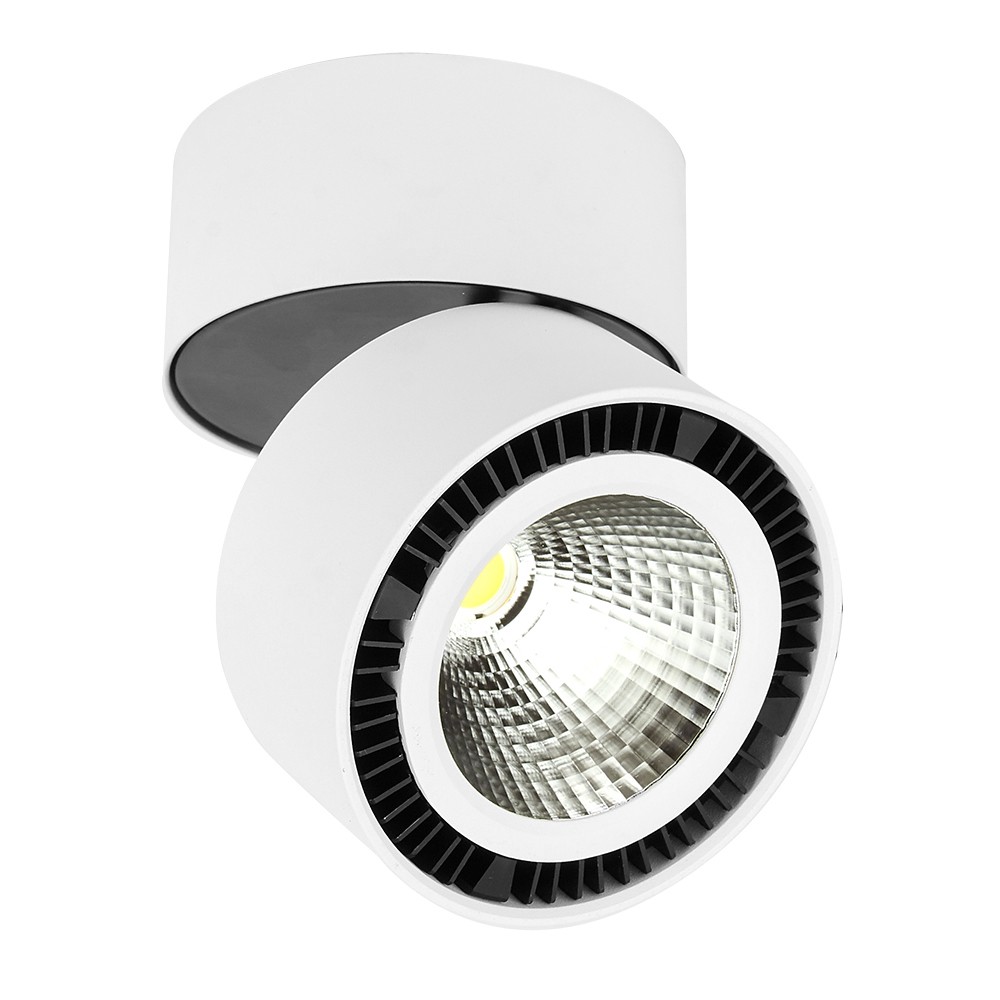 REFLECTOR DIRIGIBLE LED 24W 100-240V 1450LM 3000K PTLLED-209/24W/30B
