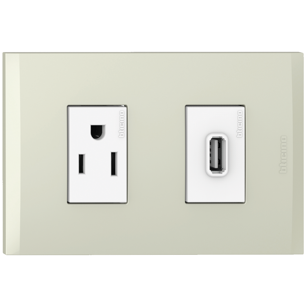 TOMA USB TIPO A + TOMA TR 2P 3H 15A 125V CHAMPAG NOBILE AF2231USBEBCH